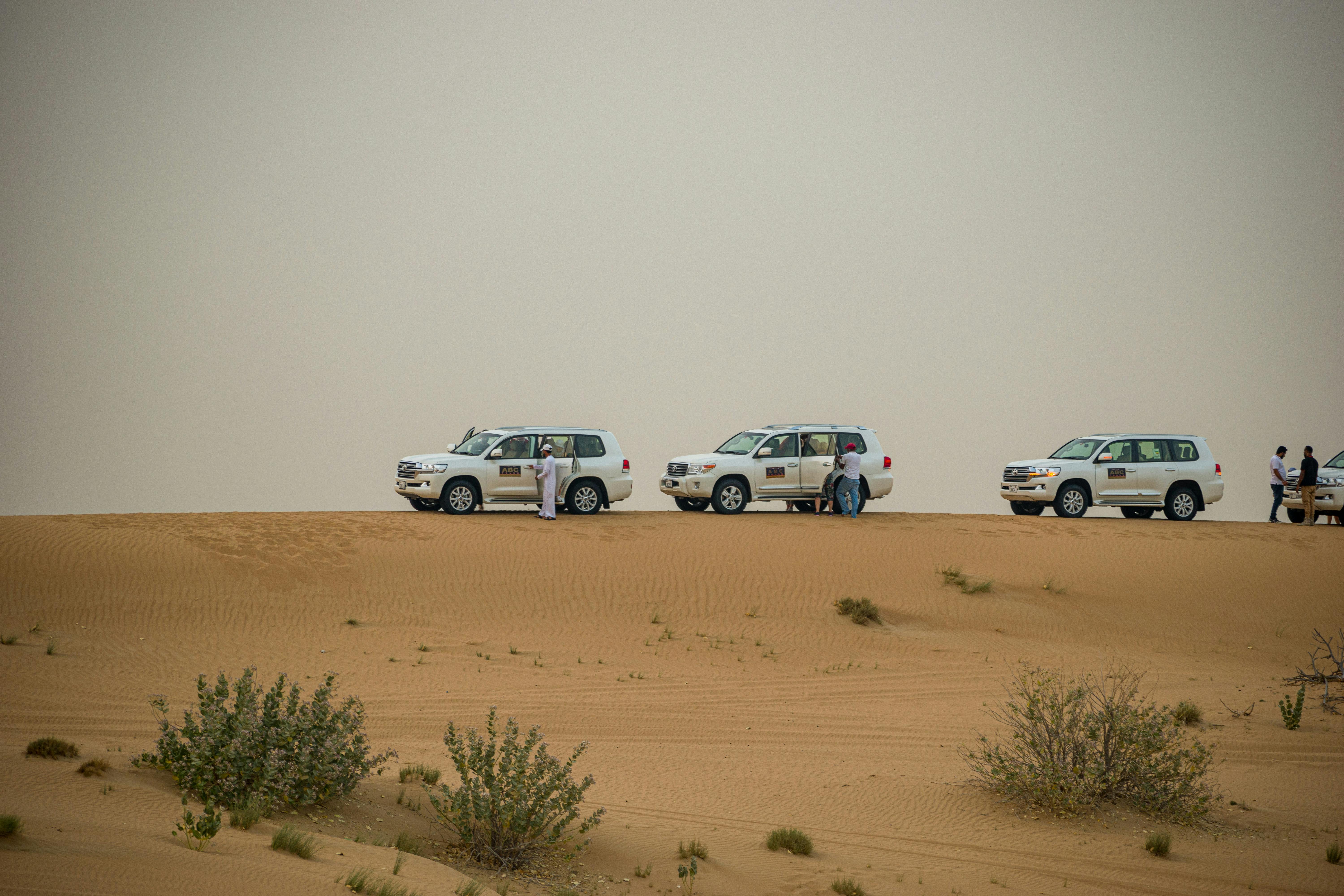 Evening Desert Safari Tour